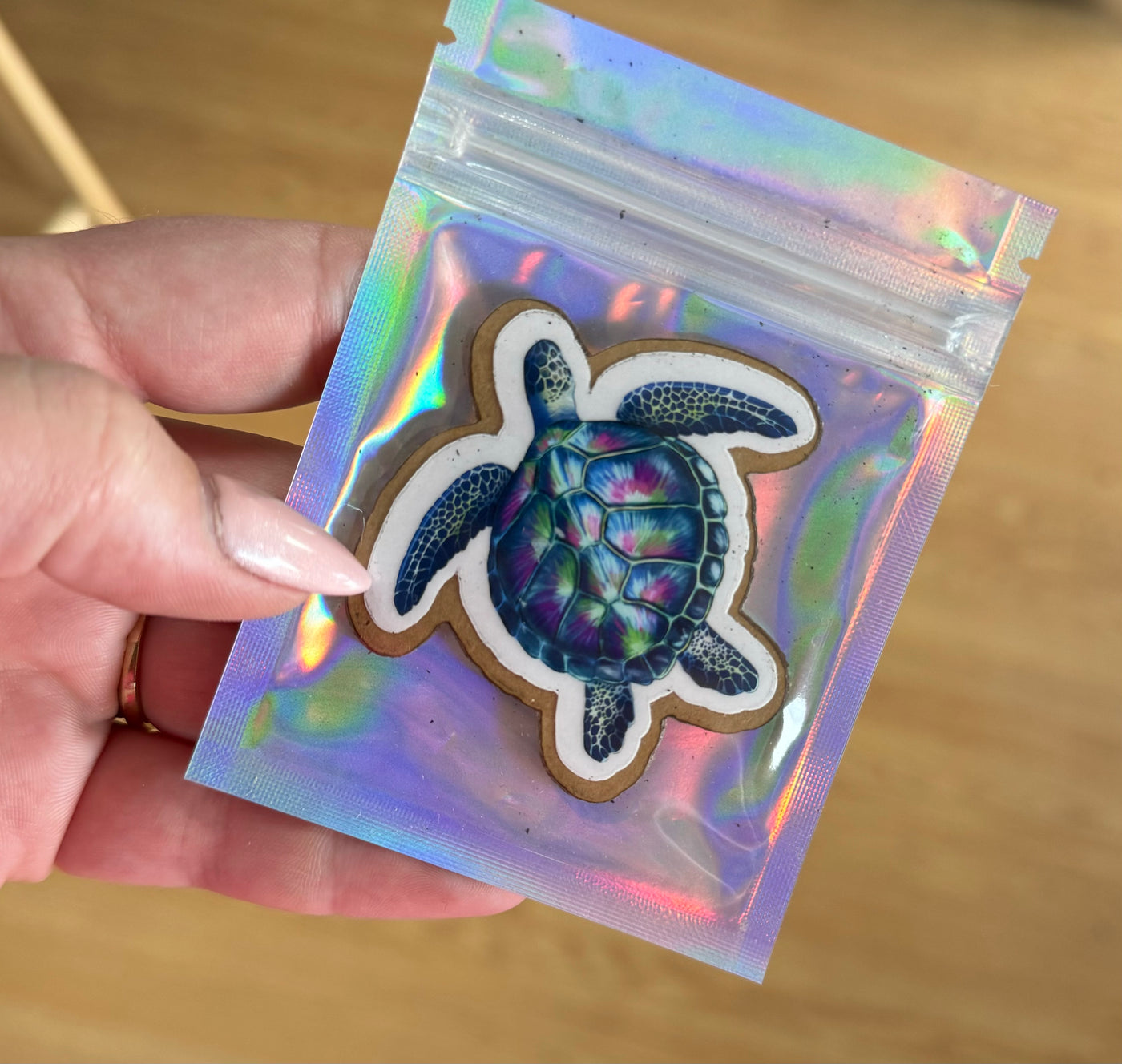 Die Cut Acrylic/Decal Set - Turtle 09