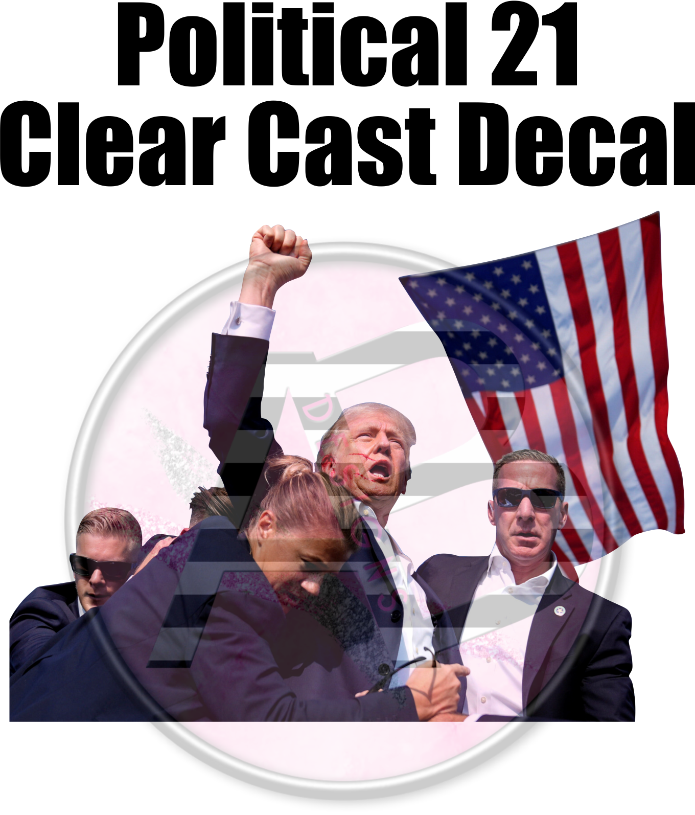 Political 21 - Clear Cast Decal-678