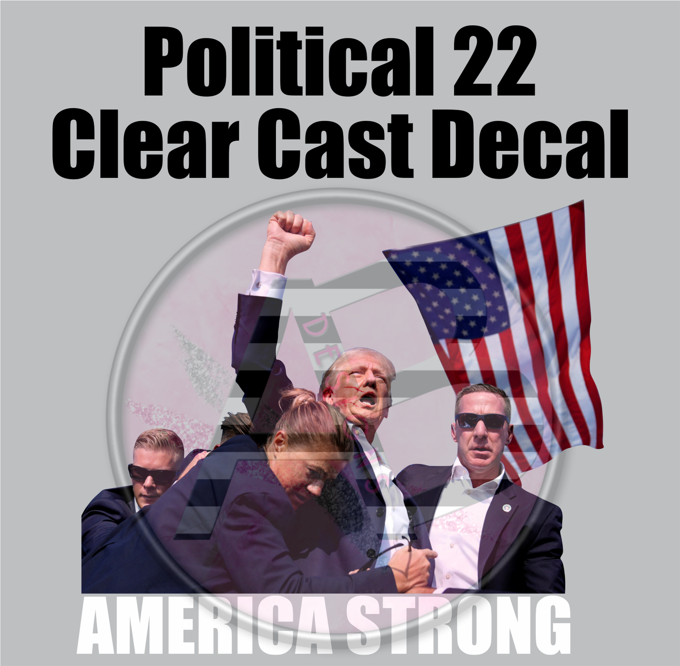 Political 22 - Clear Cast Decal-679