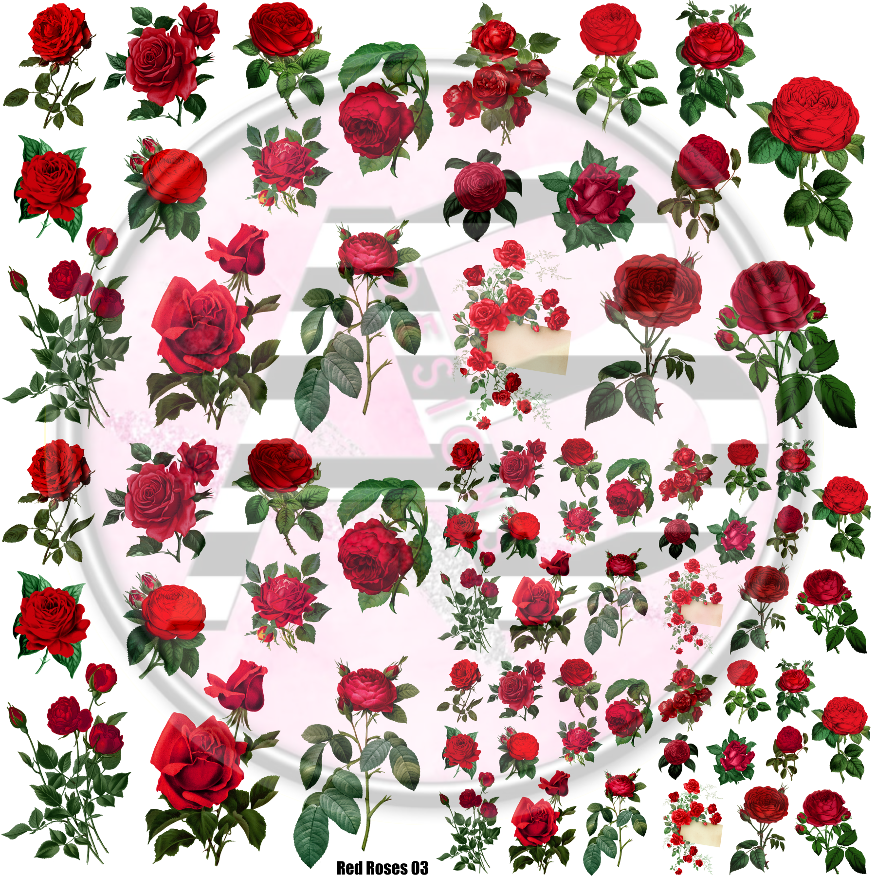12 Red Roses Design Red Roses 03 Full Sheet 12x12 - Clear Sheet – AB Designs, Co.