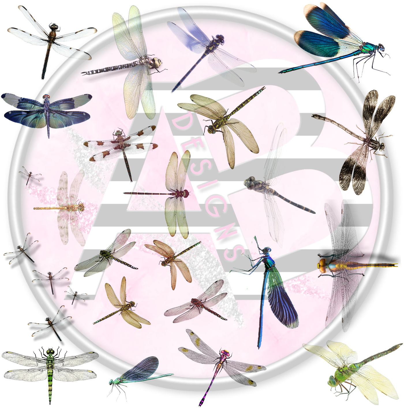 Dragonflies 02 Full Sheet 12x12 Clear Cast Decal