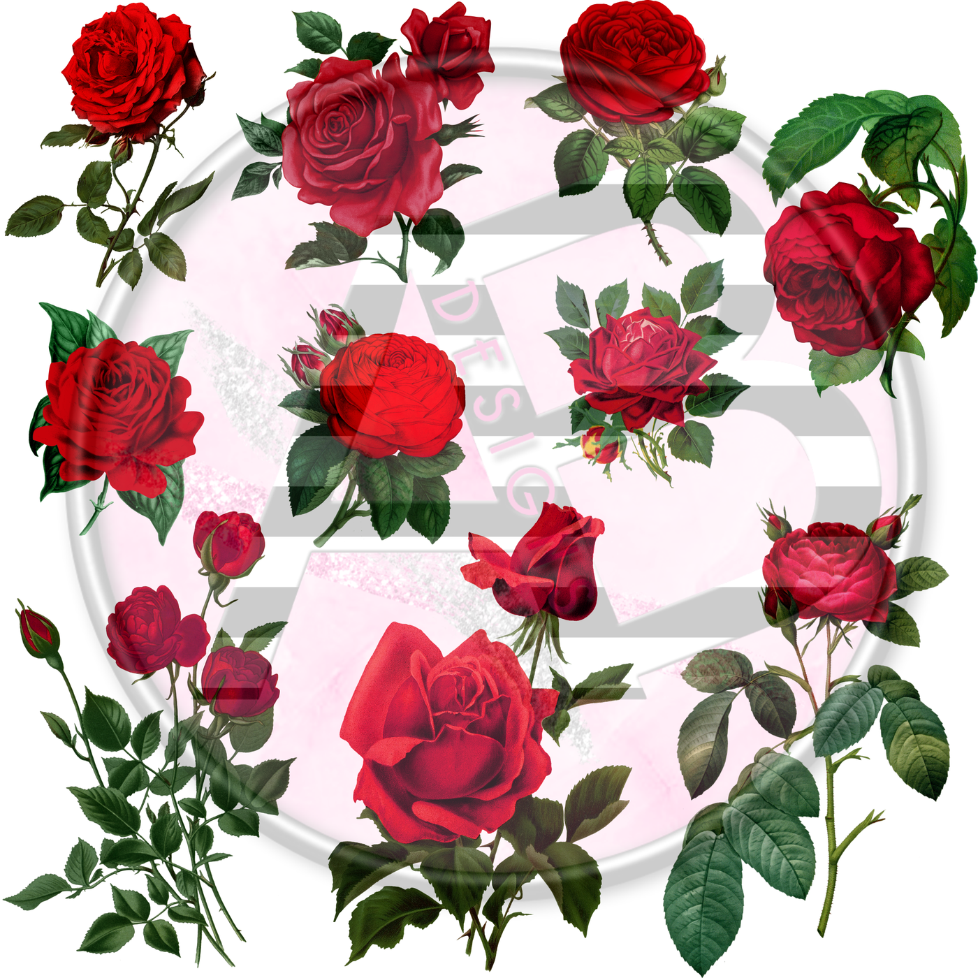 Red Roses 01 Full Sheet 12x12 - Clear Sheet