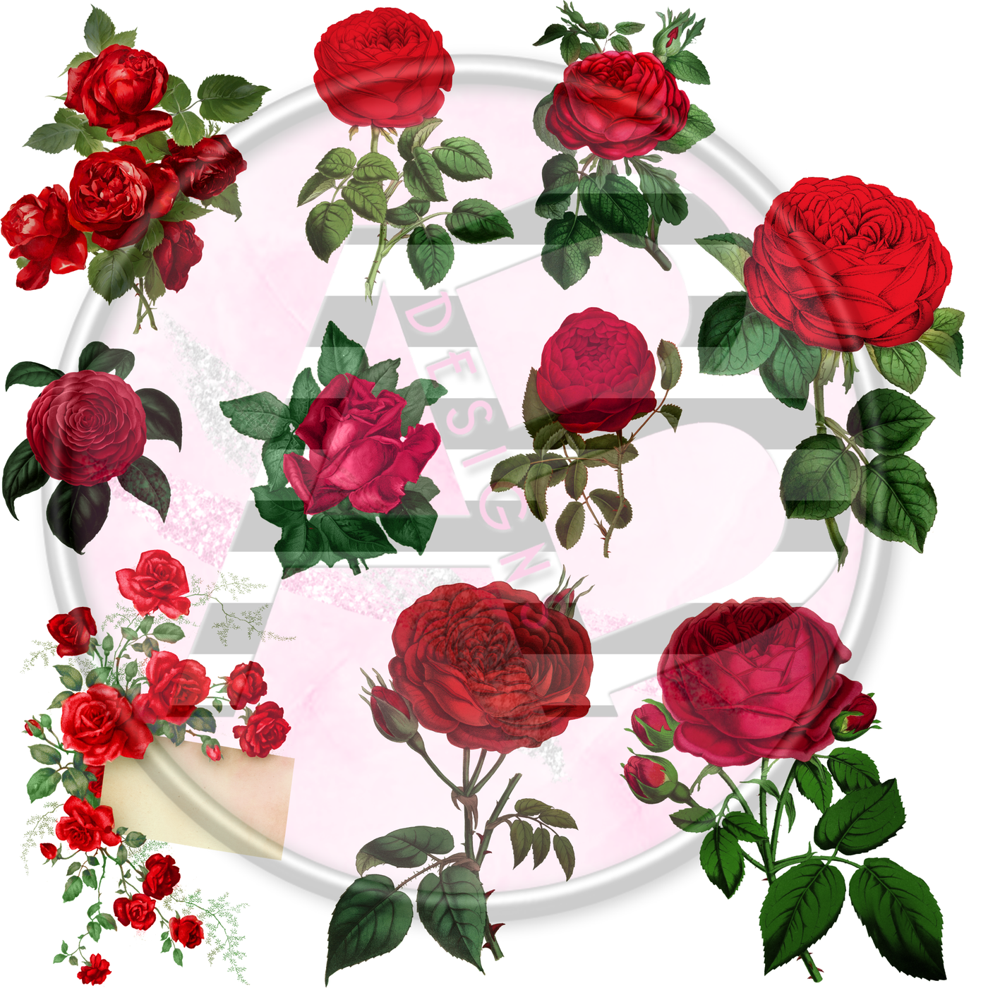 Red Roses 02 Full Sheet 12x12 - Clear Sheet