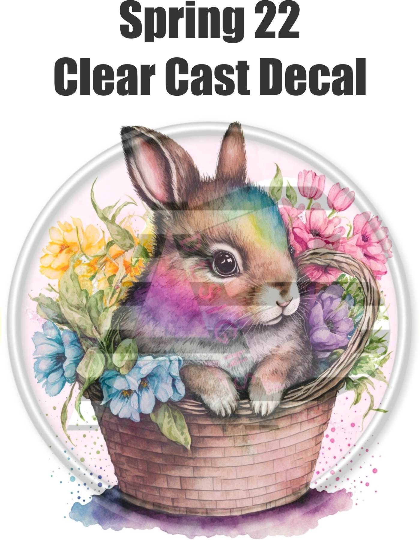 Spring 22 - Clear Cast Decal