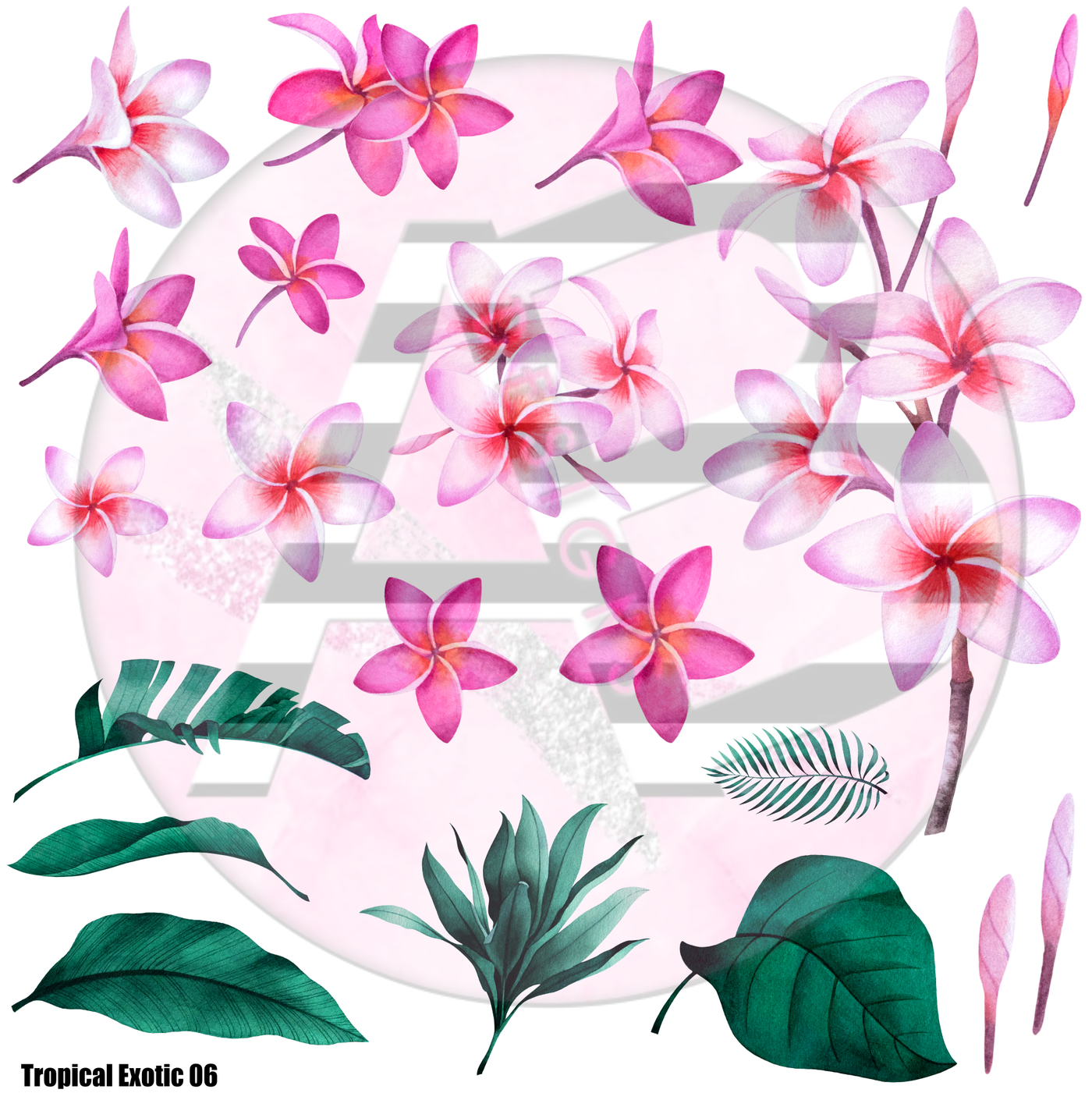 Tropical Exotic Floral 06 Full Sheet 12x12 - Clear Sheet